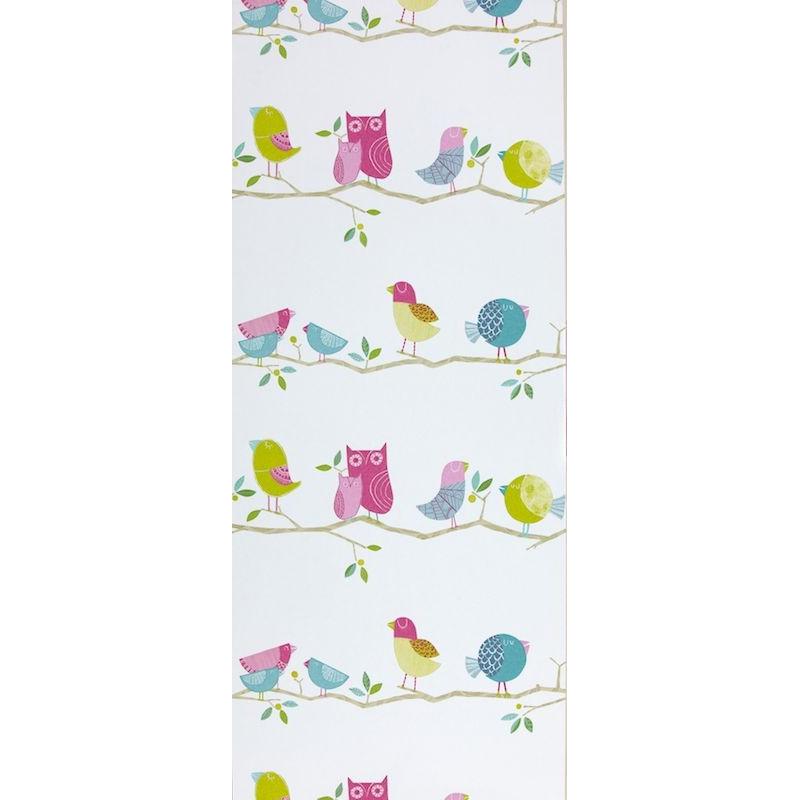 Tapeta What the Hoot