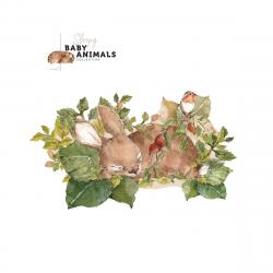 Naklejka Sleep My Little Rabbit