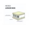Materac kieszeniowy Hevea Junior Box 160x80 Aegis Natural Care