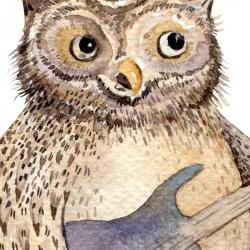 Naklejka Leśna Kapela