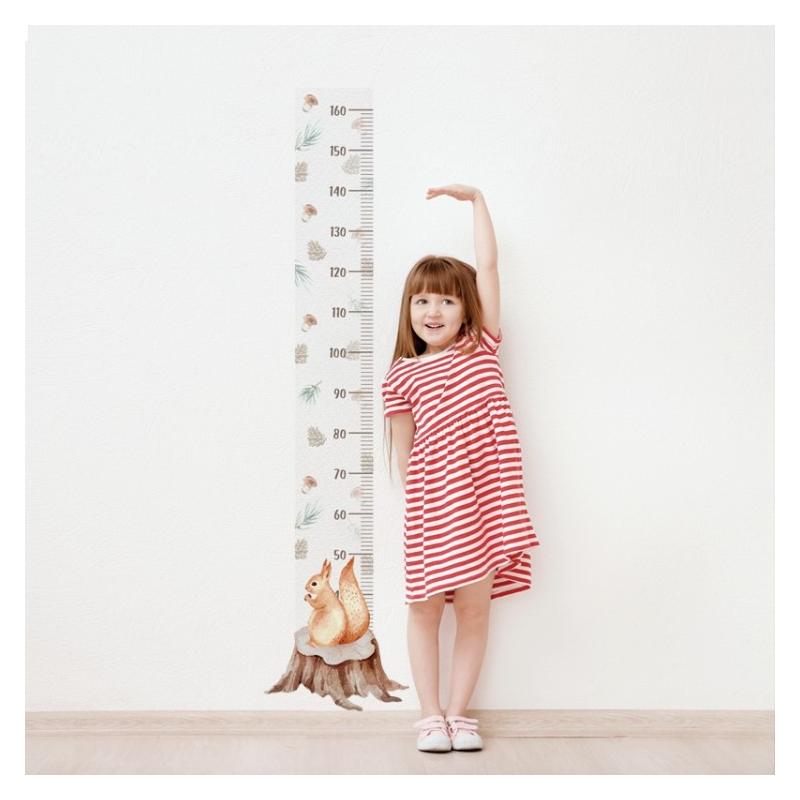 Naklejka Miarka Wzrostu Wiewiórka