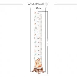 Naklejka Miarka Wzrostu Wiewiórka