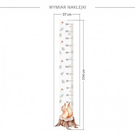 Naklejka Miarka Wzrostu Wiewiórka