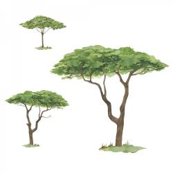 Naklejka Drzewa 3sztuki