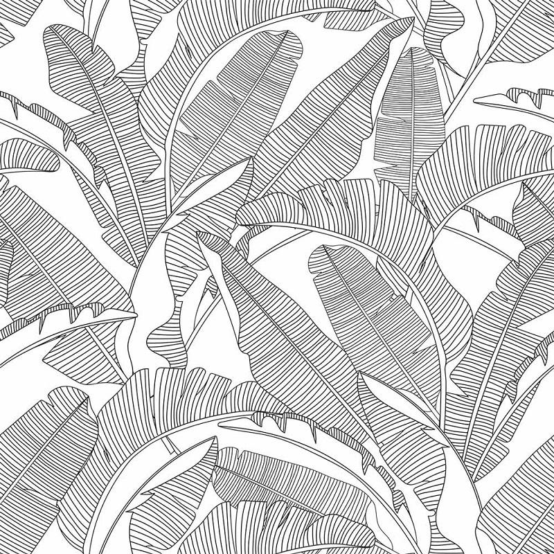 Tapeta Classic Big Palm Leaves Black&White