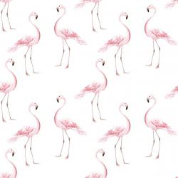 Tapeta Flamingi