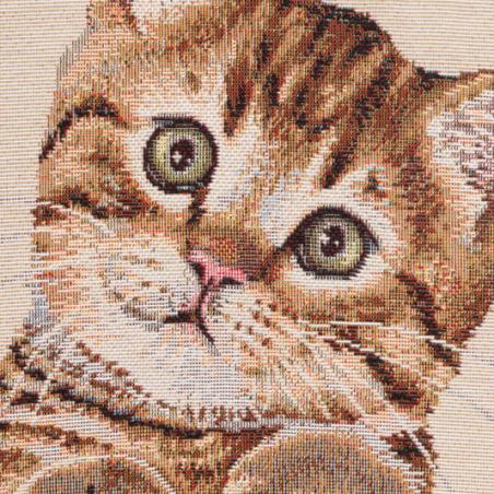 Somebunny - Fotelik Kotek