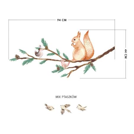Naklejka Gałąź z Wiewiórką