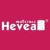 Hevea 